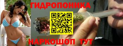 гашик Бузулук