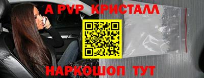 прущие грибы Гатчина