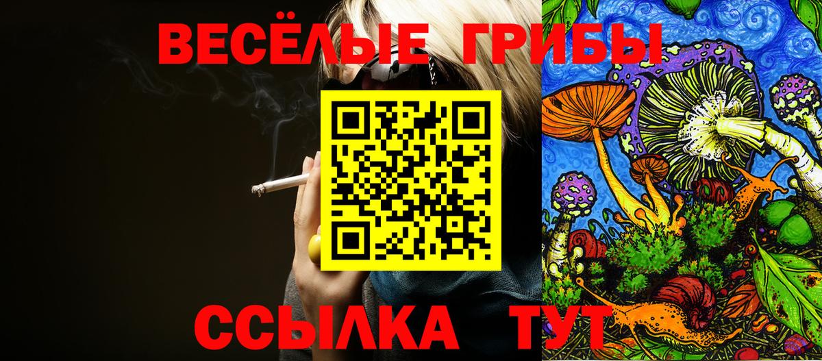 Галлюциногенные грибы мухоморы Озёрск