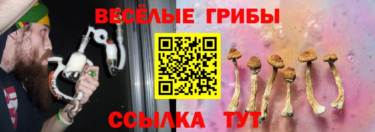 хочу   Галлюциногенные грибы Psilocybine cubensis  Галлюциногенные грибы Psilocybe  Вход с VPN  Озёрск 